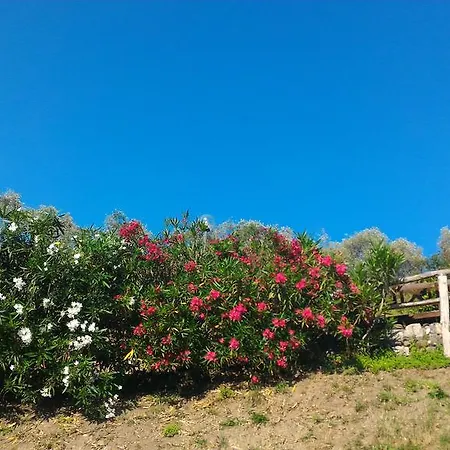 Vakantieboerderij La Quiete *